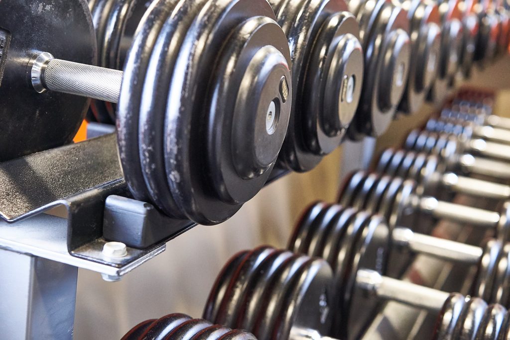 a row of dumbbells on a rack 